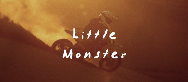 Little Monster