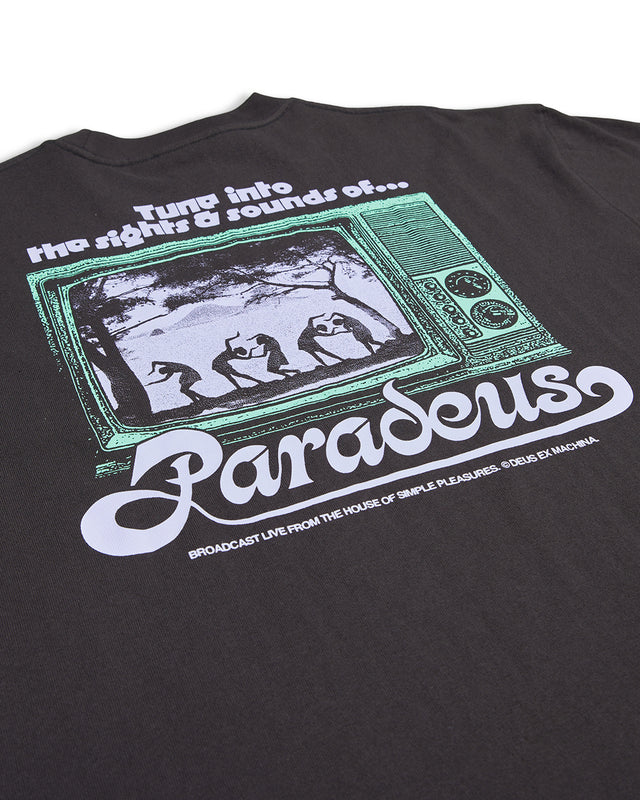 Sights & Sounds Tee - Anthracite