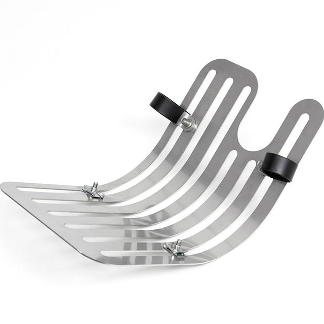 Baak Engine Protection Triumph Liquid Cooled (2016-)